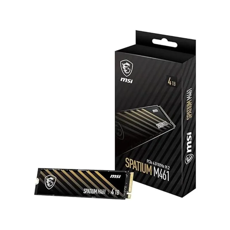 هارد اس اس دی ام اس آی مدل spatium m461 pcie 4.0 nvme m.2 4tb